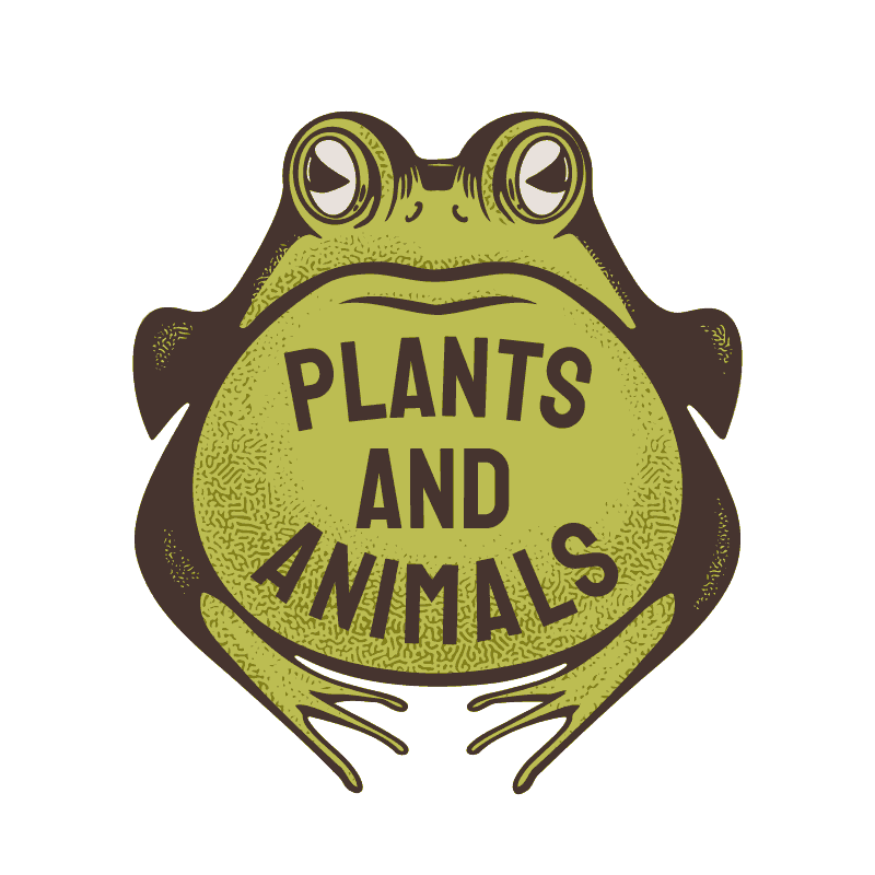 Plant & Animal Graphic & Logo Templates for Adobe Affinity CorelDraw