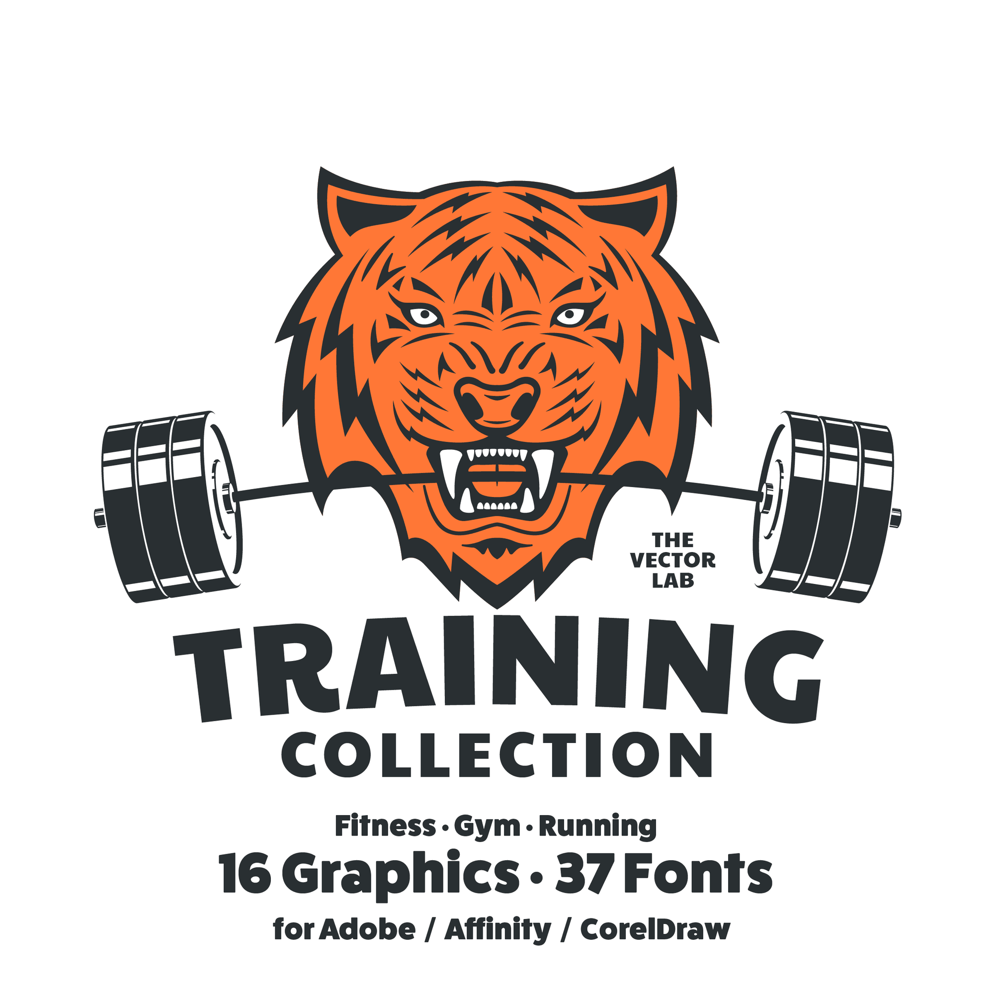 Training Graphic Logo Templates for Adobe Affinity CorelDraw