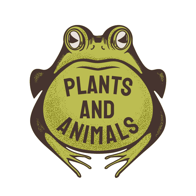 Plants & Animals