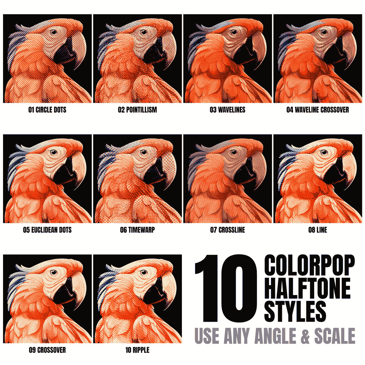 ColorPop Halftones