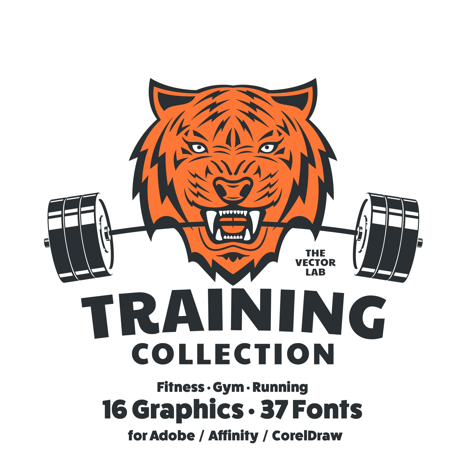 Training Graphic Logo Templates for Adobe Affinity CorelDraw